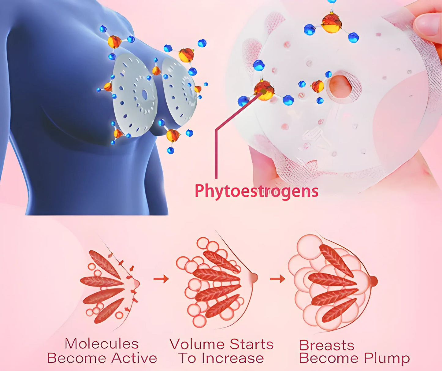 LOVILDS⢠2025 Breast Pro - Plump Patchđ¸đ(â°Limited time discount last 30 minutesâ°)