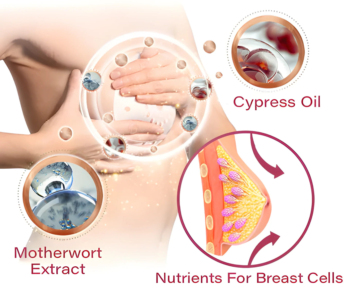 LOVILDS⢠2025 Breast Pro - Plump Patchđ¸đ(â°Limited time discount last 30 minutesâ°)
